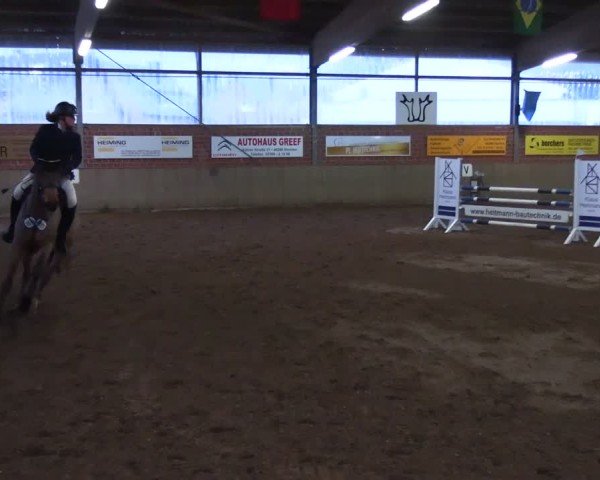 Reitturnier Lembeck 2025