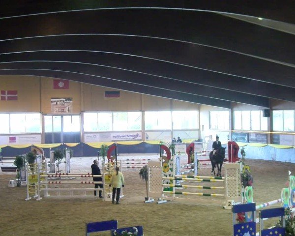 Reitturnier Boll 2025