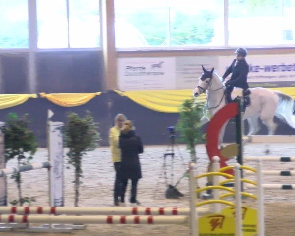 Reitturnier Boll 2025