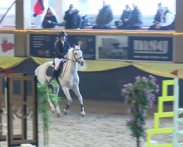 Reitturnier Boll 2025