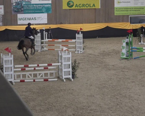 Reitturnier Erlen 2025