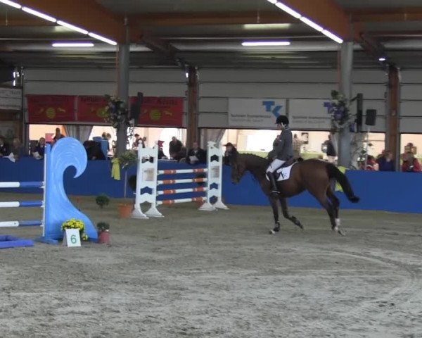 6. Isterberger Euregio-Hallen Springturnier vom 10.-13.10.2013