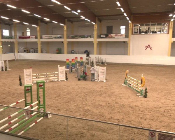 Reitturnier Stadl-Paura 2025