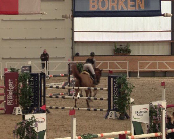 Reitturnier Borken (Hessen) 2025