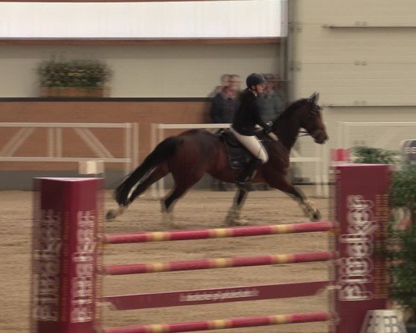 Reitturnier Borken (Hessen) 2025