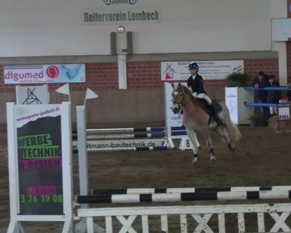 Reitturnier Lembeck 2025