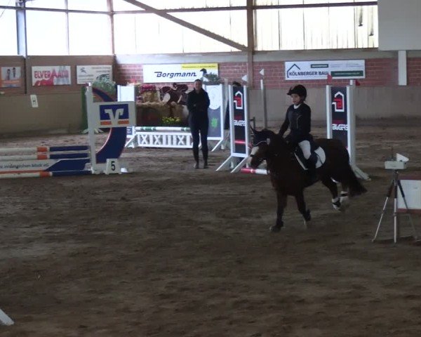 Reitturnier Lembeck 2025