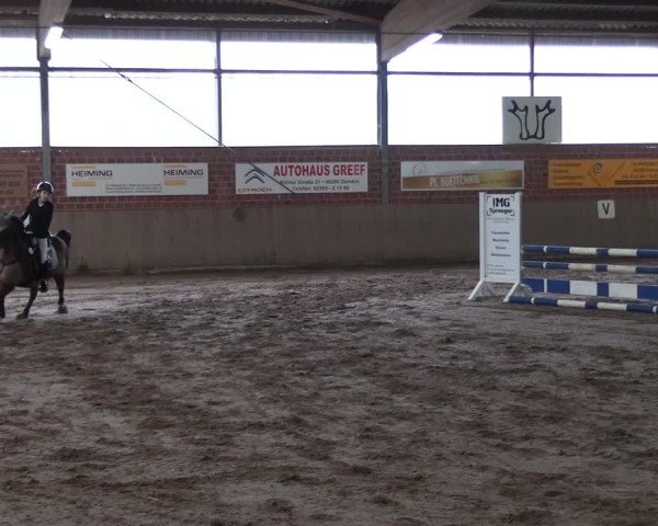Reitturnier Lembeck 2025
