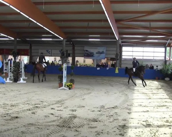 6. Isterberger Euregio-Hallen Springturnier vom 10.-13.10.2013