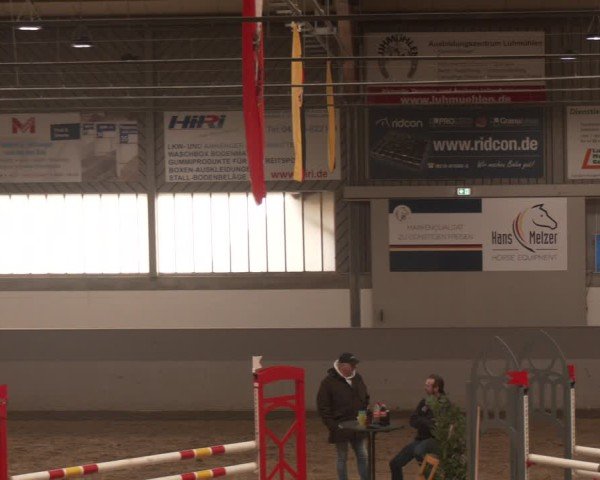 Reitturnier Luhmühlen 2025