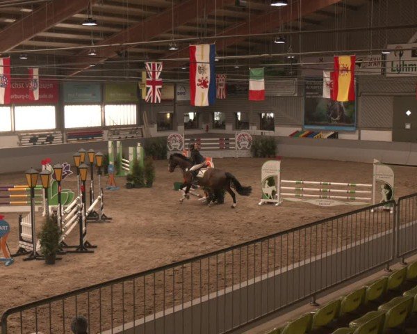 Reitturnier Luhmühlen 2025