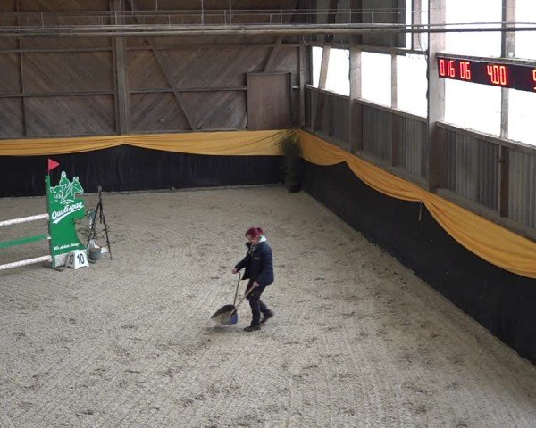 Reitturnier Erlen 2025