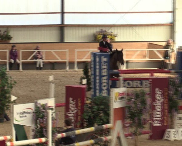 Reitturnier Borken (Hessen) 2025