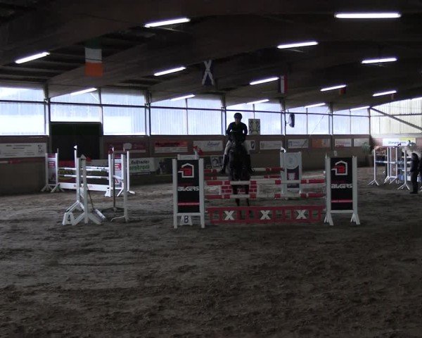 Reitturnier Lembeck 2025