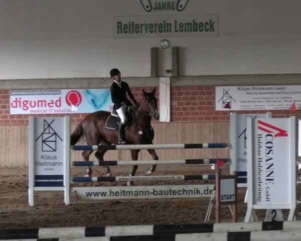 Reitturnier Lembeck 2025
