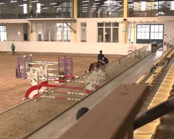 Reitturnier Stadl-Paura 2025