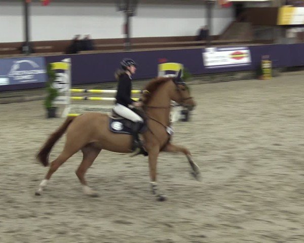 Reitturnier Vlotho-Exter 2025