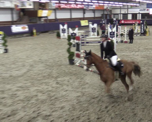 Reitturnier Vlotho-Exter 2025