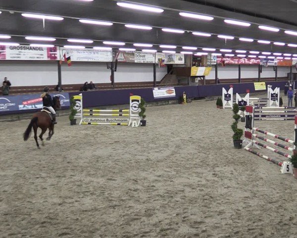 Reitturnier Vlotho-Exter 2025