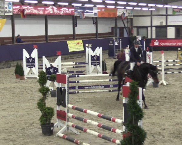 Reitturnier Vlotho-Exter 2025