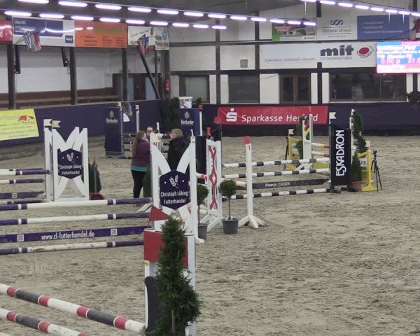 Reitturnier Vlotho-Exter 2025