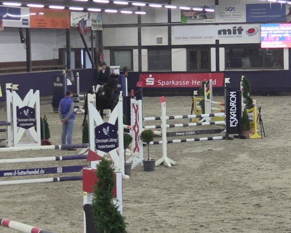 Reitturnier Vlotho-Exter 2025