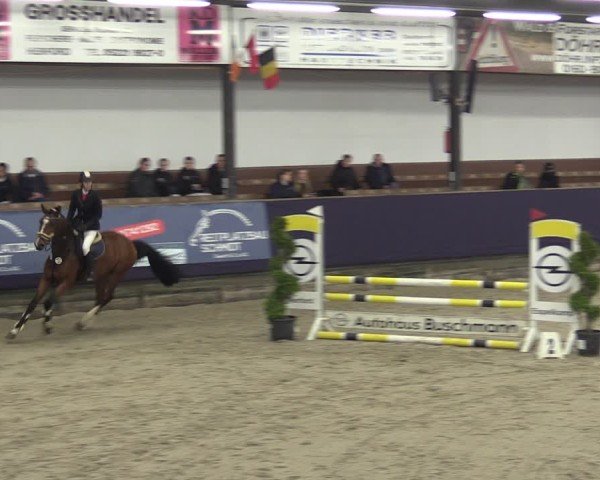 Reitturnier Vlotho-Exter 2025
