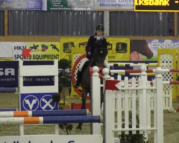 6. Isterberger Euregio-Hallen Springturnier vom 10.-13.10.2013