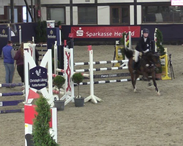 Reitturnier Vlotho-Exter 2025