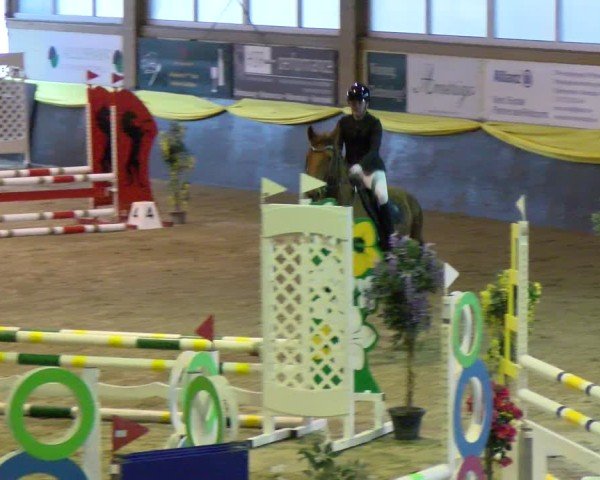Reitturnier Boll 2025