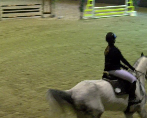Reitturnier Boll 2025