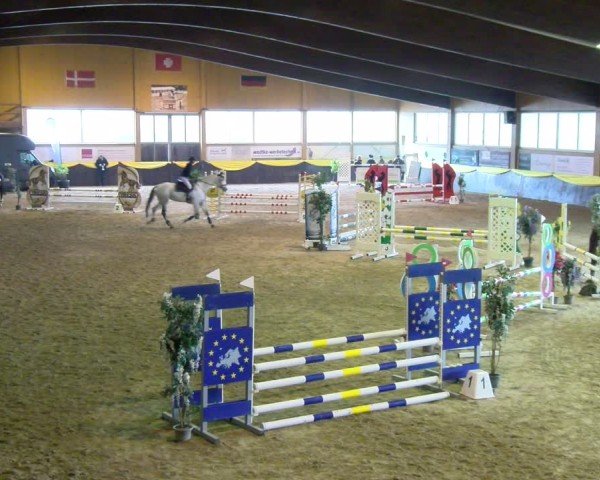 Reitturnier Boll 2025