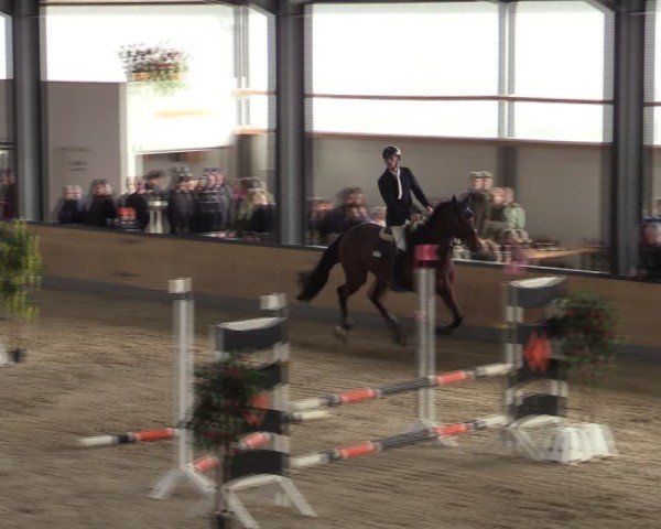 Reitturnier Borken (Hessen) 2025