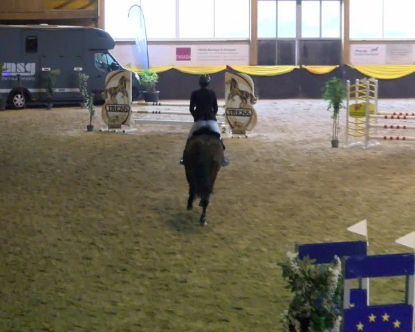 Reitturnier Boll 2025