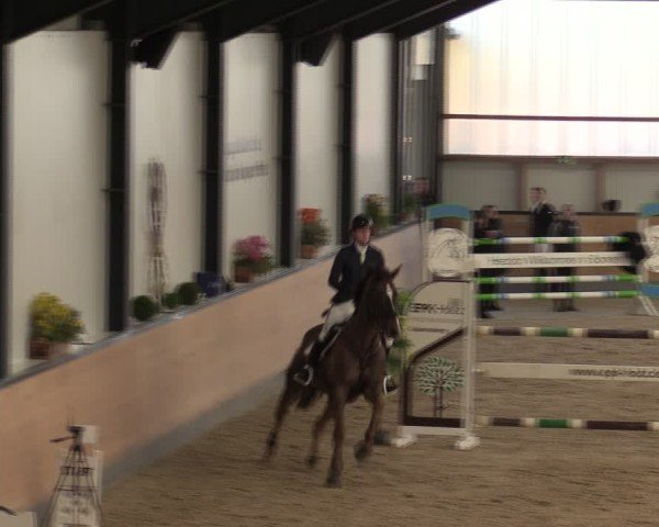 Reitturnier Borken (Hessen) 2025