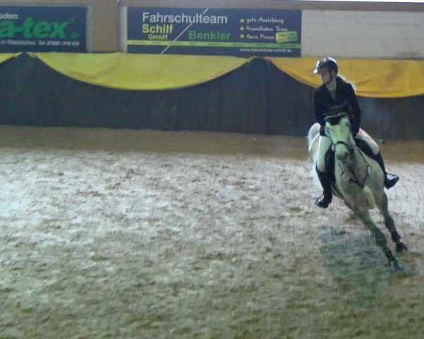 Reitturnier Boll 2025