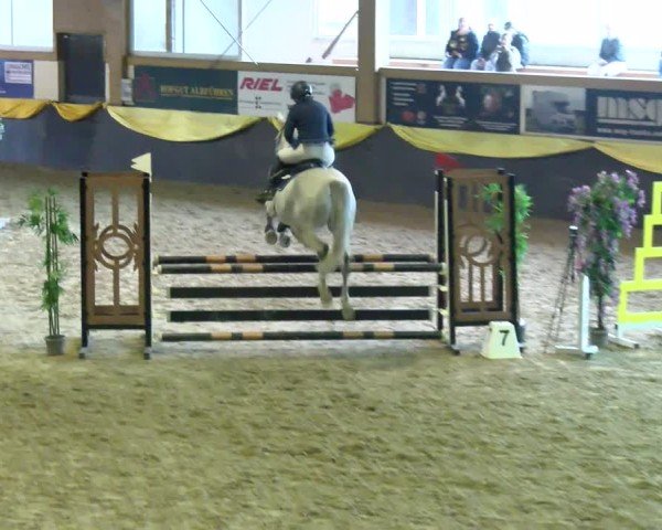 Reitturnier Boll 2025
