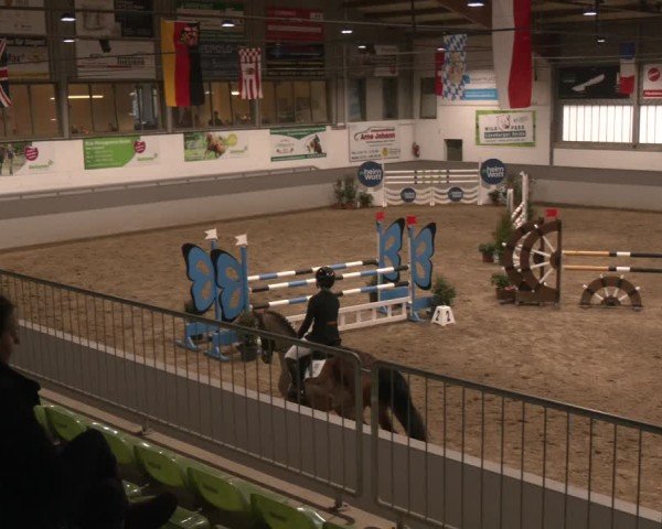 Reitturnier Luhmühlen 2025