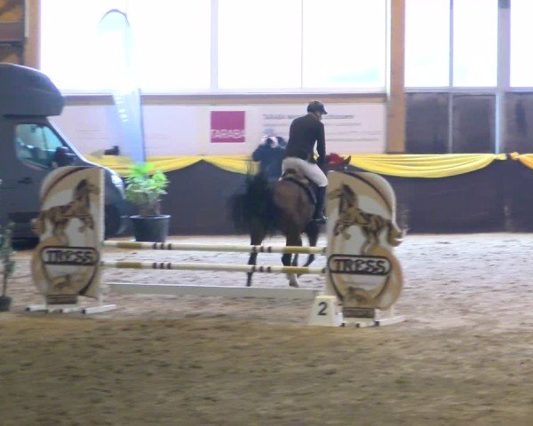 Reitturnier Boll 2025