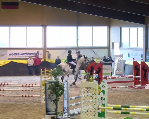 Reitturnier Boll 2025
