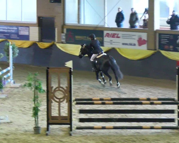 Reitturnier Boll 2025