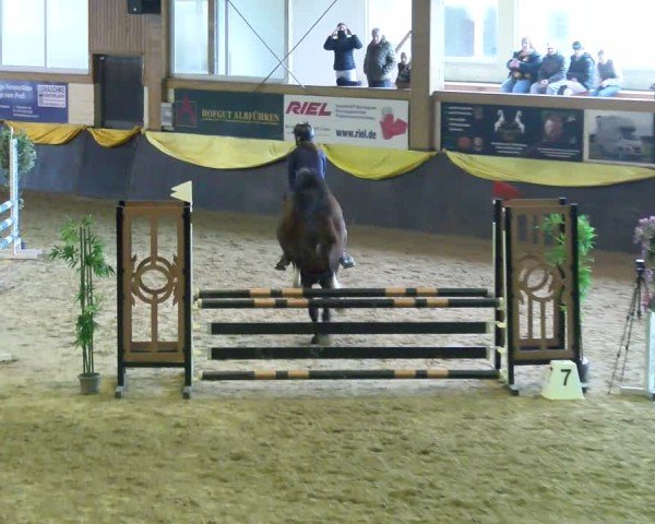 Reitturnier Boll 2025