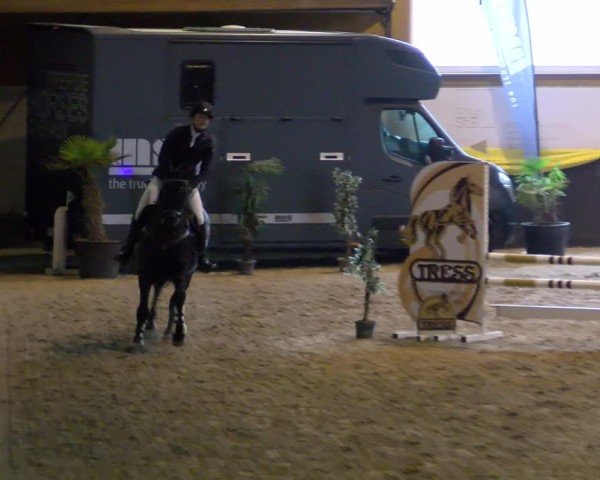 Reitturnier Boll 2025