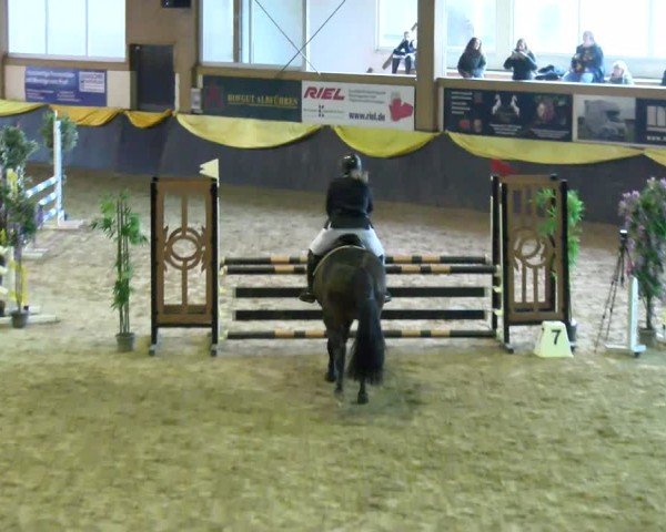 Reitturnier Boll 2025