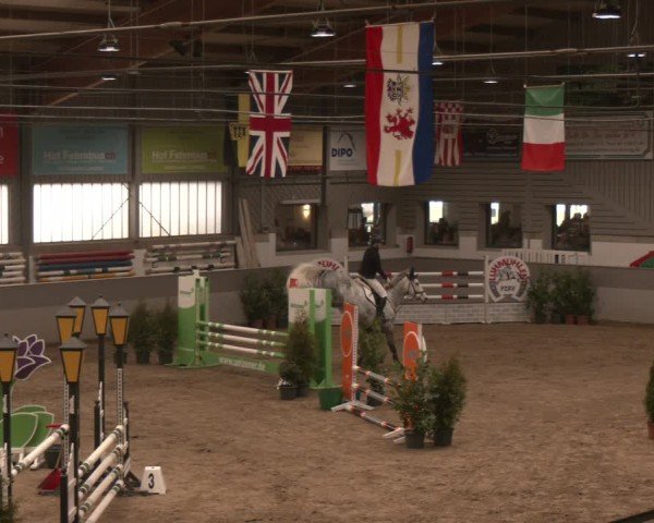 Reitturnier Luhmühlen 2025