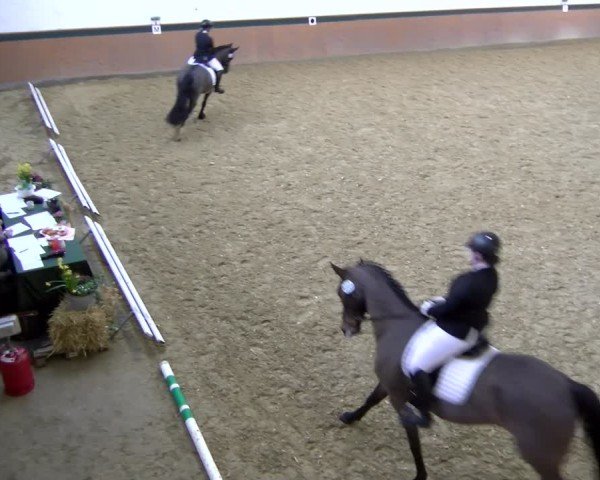 Reitturnier Laer 2025