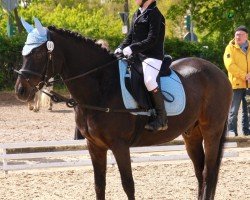 dressage horse Rocket 91 (German Riding Pony, 1998, from Oosteinds Ricky)
