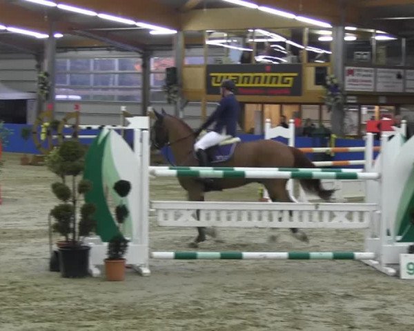 6. Isterberger Euregio-Hallen Springturnier vom 10.-13.10.2013