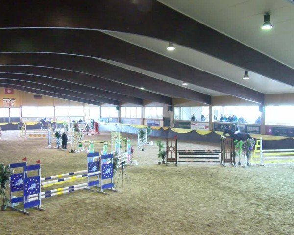 Reitturnier Boll 2025