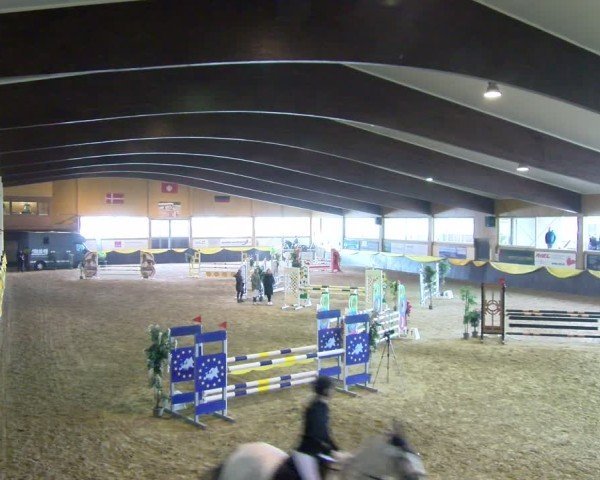 Reitturnier Boll 2025